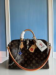 Louis Vuitton Speedy Soft 30 Crafty 30 x 21 x 17cm - 1