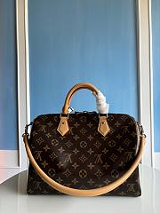 Louis Vuitton Speedy Soft 30 Crafty 30 x 21 x 17cm - 6