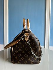 Louis Vuitton Speedy Soft 30 Crafty 30 x 21 x 17cm - 2