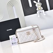 Chanel Vanity Lambskin Bag - 10-17-8cm - 5