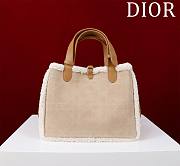 Dior Medium Dior Toujours Bag Brown Suede & Shearling - 28.5*19*21cm - 5