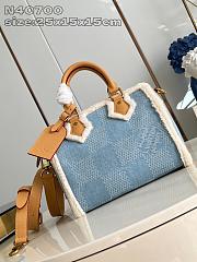 Louis Vuitton Speedy 20 Denim Shearling  - 1