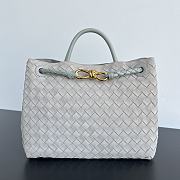 Bottega Veneta Medium Andiamo Suede Bag - 1