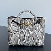 	 Bottega Veneta Andiamo Python Leather Bag - 25x22x10.5cm - 1