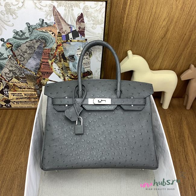 Hermes Birkin 30cm Grey Ostrich - 1