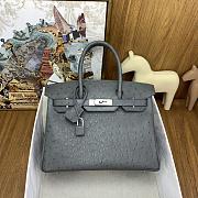 Hermes Birkin 30cm Grey Ostrich - 1
