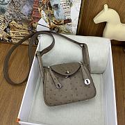 Hermes Mini lindy brown ostrich leather - 3