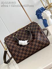 Louis Vuitton SPEEDY 25 3205 - 3