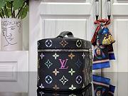 Louis Vuitton x Murakami Nice BB Vanity Bag - 20x14x13cm - 5
