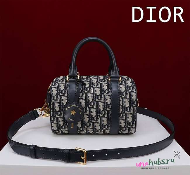 	 Dior Groove 16 Bag 3 colors - 1