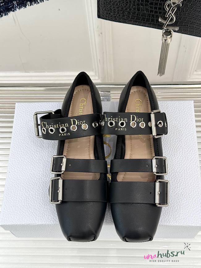 Dior Punk Ballet Flat Saddle  - 1