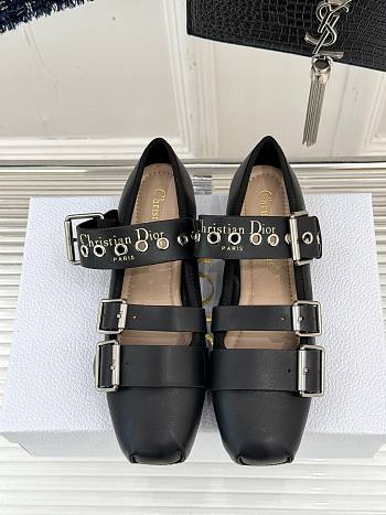 Dior Punk Ballet Flat Saddle 