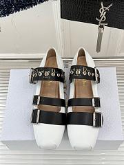 Dior Punk Ballet Flat Saddle  - 3