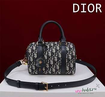 	 Dior Groove 20 Bag 3 colors