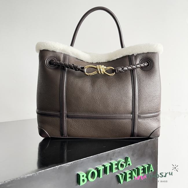 Bottega Veneta Andiamo Brown Leather  Bag - 32*24*12cm - 1