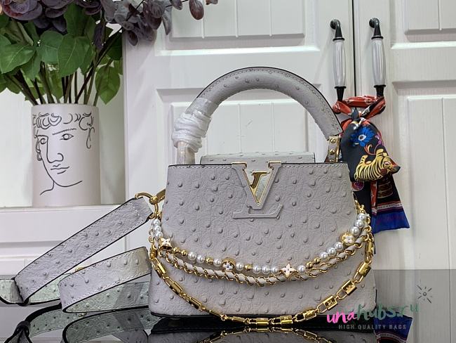 Louis Vuitton Capucines Taurillon  Trilogy Grey Bag - 21x 13.6 x 8 cm - 1