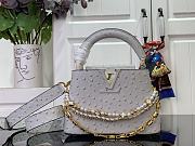 Louis Vuitton Capucines Taurillon  Trilogy Grey Bag - 21x 13.6 x 8 cm - 1