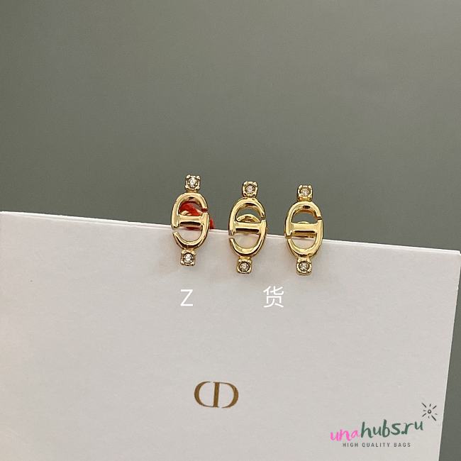 Dior CD Earrings - 1