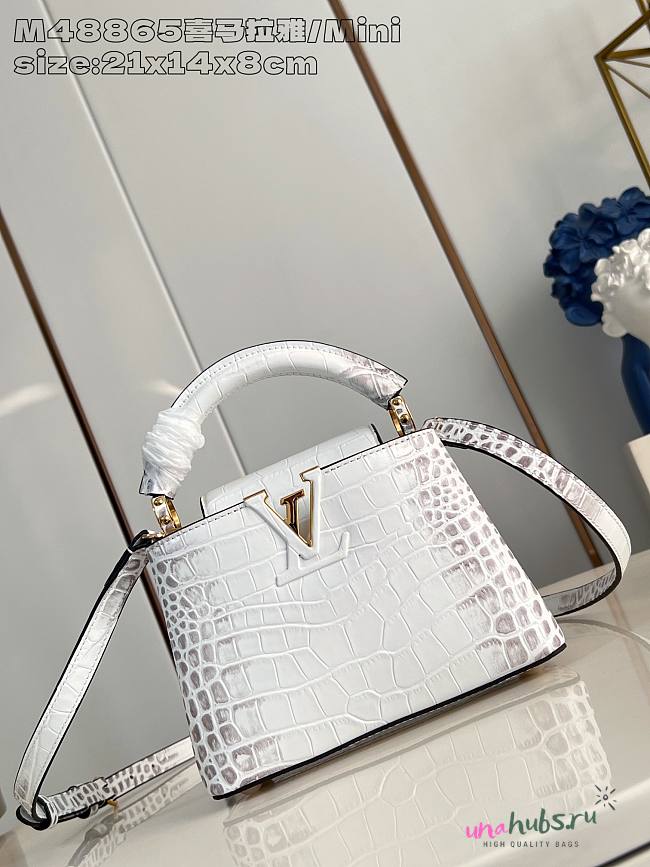 Louis Vuitton Capucines White Crocodile Bag - 21x 13.6 x 8 cm - 1