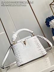 Louis Vuitton Capucines White Crocodile Bag - 21x 13.6 x 8 cm - 1