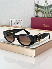 Cariter Panthere Sunglasses - 1