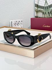 Cariter Panthere Sunglasses - 5