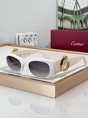 Cariter Panthere Sunglasses - 4