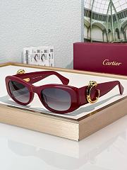 Cariter Panthere Sunglasses - 3