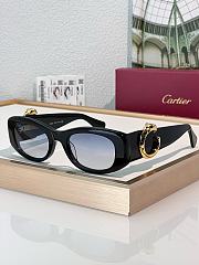 Cariter Panthere Sunglasses - 2