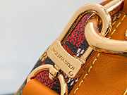 	 Louis Vuitton Brown Speedy 25 x 15x 11CM - 5