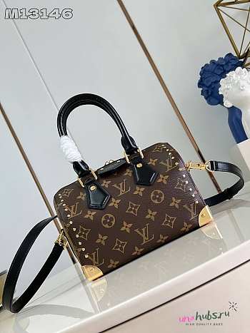 Louis Vuitton Speedy Monogram 20x13×11cm 2 colors