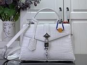 Louis Vuitton ROSE DES VENTS  Bag - 27*18*9cm - 2