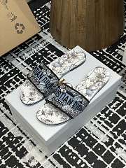 Dior Dway Sildes - 1