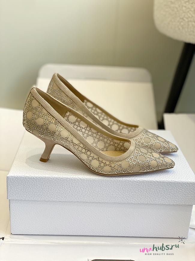 Dior Capture Heeled Pumps Transparent Mesh with Strass Cannage Motif - 1