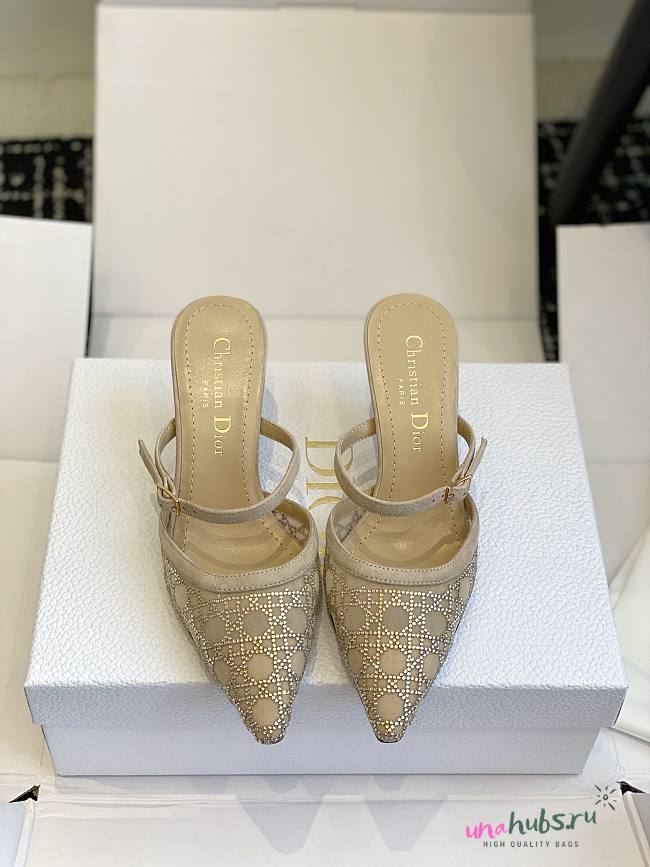 Dior Capture Heeled Mule Transparent Mesh with Silver-Tone Strass Cannage Motif - 1