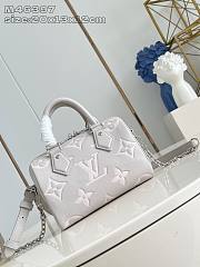 Louis Vuitton Speedy Gray 20.5 x 13.5 x 12cm - 1