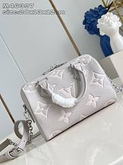 Louis Vuitton Speedy Gray 20.5 x 13.5 x 12cm - 4