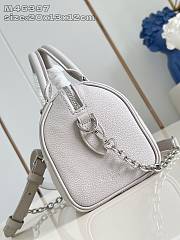 Louis Vuitton Speedy Gray 20.5 x 13.5 x 12cm - 2