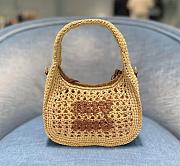Miu Miu Beige Wander Woven Farbic Hobo Bag  20x17x6cm - 1