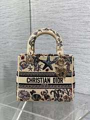 Dior Medium Lady D-Lite Bag Raffia with Multicolor Dior Cabinet de Curiosités Embroidery - 1