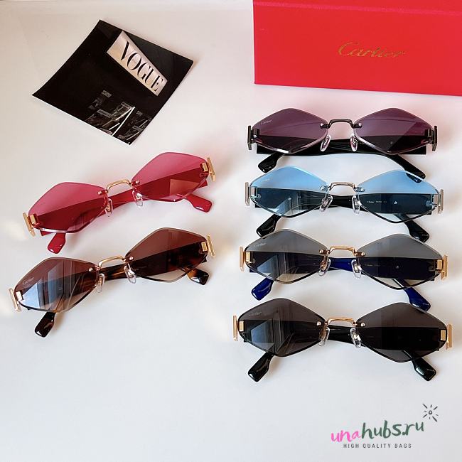 Cartier Panthère de Cartier sunglasses 02 - 1