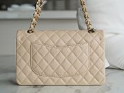 Chanel Medium Classic Flap Bag In Light Beige Lambskin Leather 25cm - 2