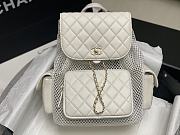 Chanel Backpack, Mesh, shiny lambskin & gold-tone metal - 1