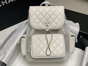 Chanel Backpack, Mesh, shiny lambskin & gold-tone metal