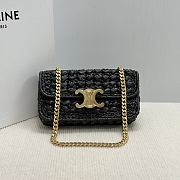 Celine Triomphe Plein Soleil Bag - 20.5x10.5x4cm - 2