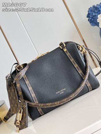 Louis Vuitton Speedy Soft Cushion Bag in 3 colors - 25*15*18cm