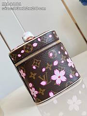 Louis Vuitton x TM Nice Mini Other Monogram Canvas 20 x 13.5 x 12 cm - 4