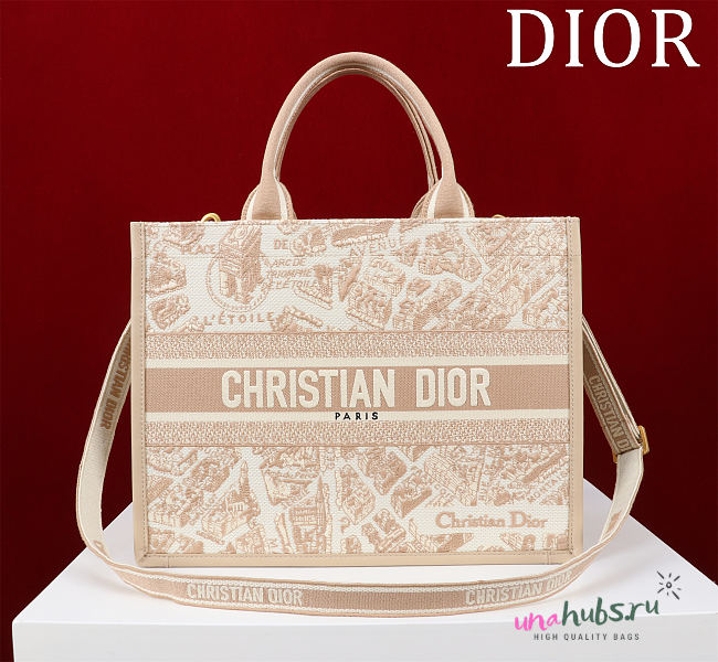 Dior Medium Book Tote Paris Motif Embroidery and Latte Calfskin - 36*28*16cm - 1