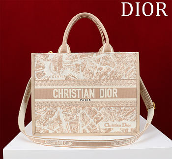 Dior Medium Book Tote Paris Motif Embroidery and Latte Calfskin - 36*28*16cm