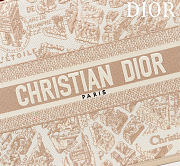 Dior Medium Book Tote Paris Motif Embroidery and Latte Calfskin - 36*28*16cm - 2